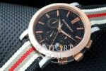 burberry-bayan-kumas-kordonlu-gold-8sdr