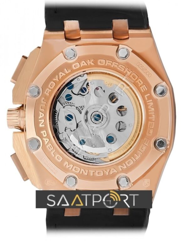 audemars-piguet-juan-pablo-montoya-eta-arka