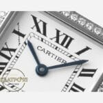 Panthère de Cartier Taşlı Bezel 27 mm x 37 mm W4PN0018 Quartz Super Clone ETA